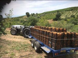 Συσκευαστική Πέλλας